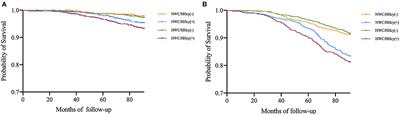 Hyperhomocysteinemia Increases Risk of Metabolic Syndrome and Cardiovascular Death in an Elderly Chinese Community Population of a 7-Year Follow-Up Study